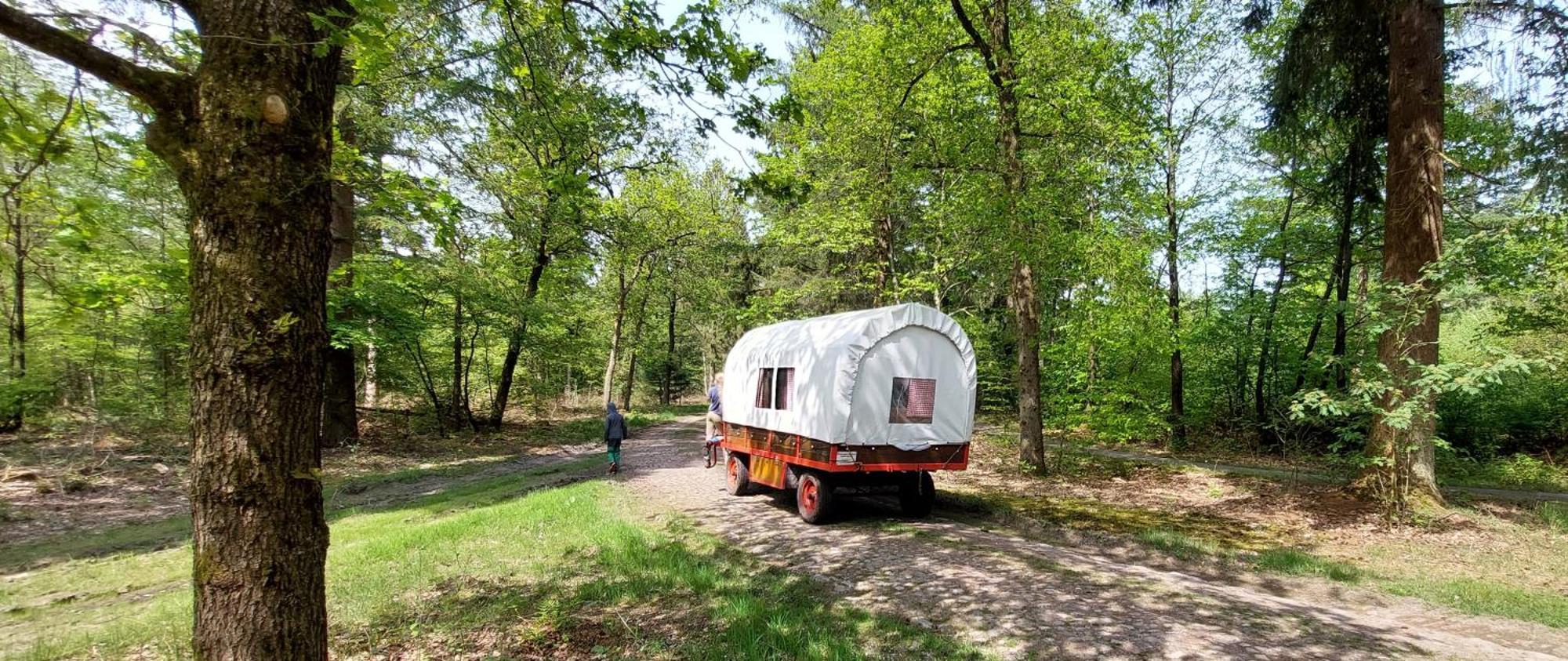 Mooi Drenthe Villa Wezuperbrug Exterior photo
